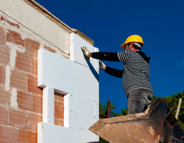 Best Insulation Maintenance and Repair in Litchfield, IL