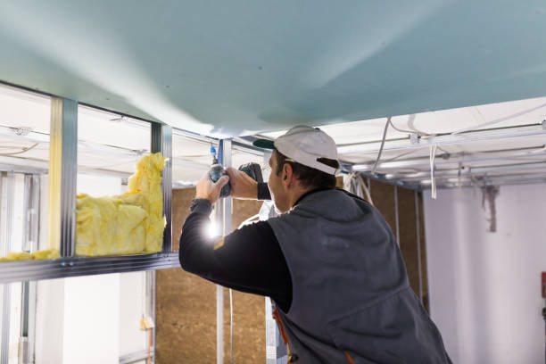 Best Insulation for Specific Applications in Litchfield, IL