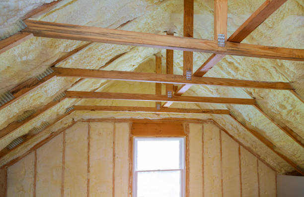 Best Specialized Insulation Services in Litchfield, IL