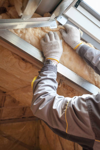 Best Geographic-Specific Insulation Services in Litchfield, IL